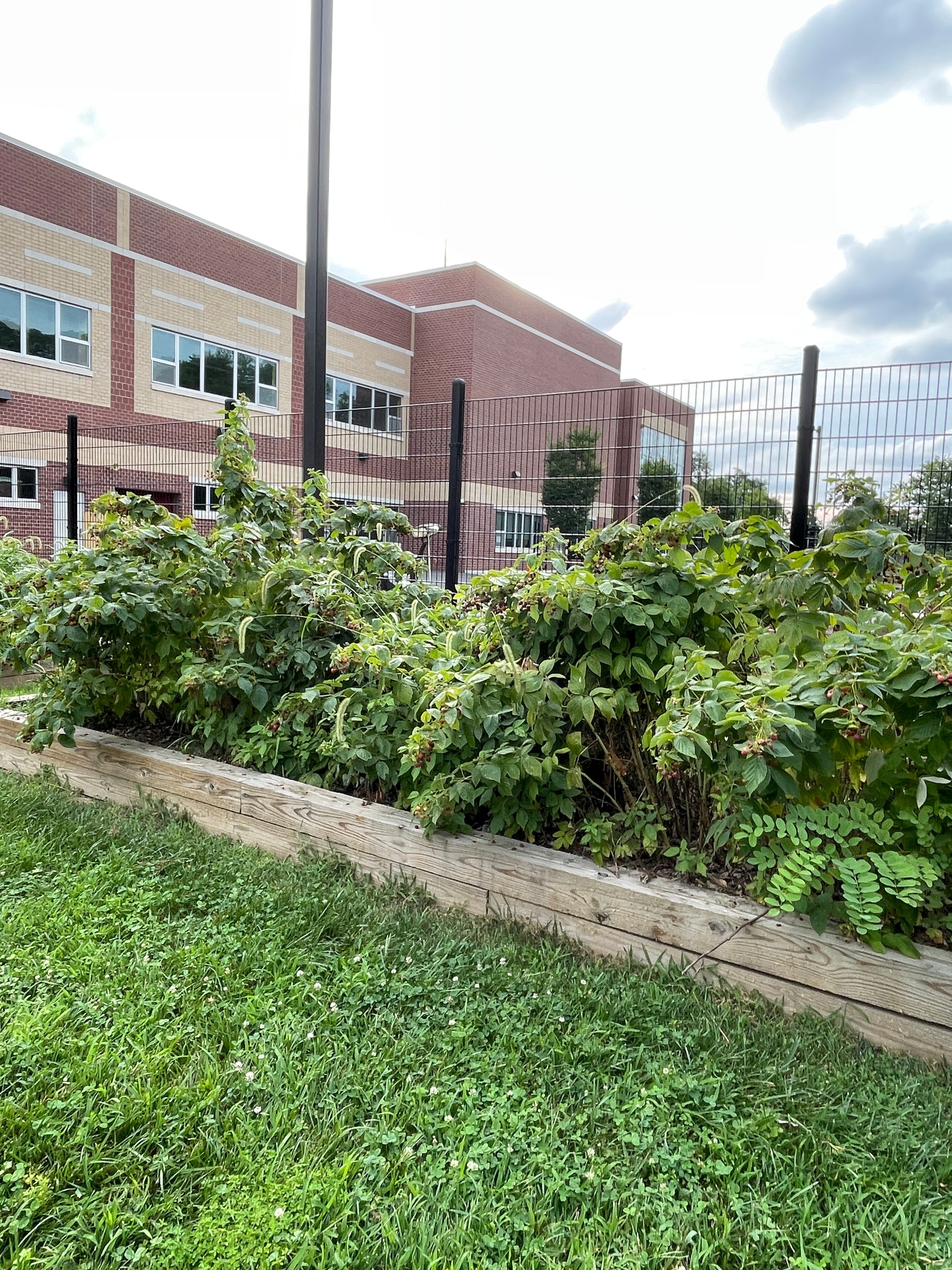 Farm to School & Agriculture